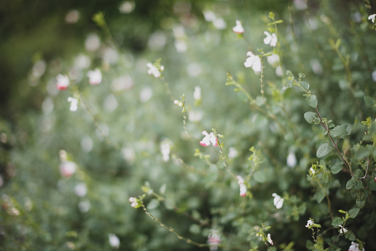 Wedding Photography at Boy's Hall in Ashford Kent 058