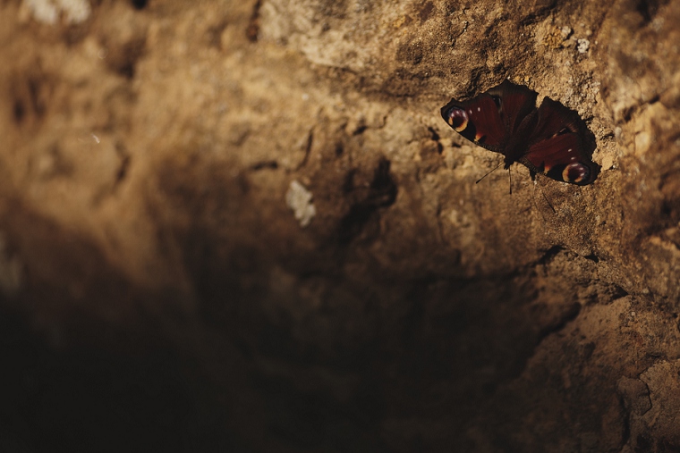 Wedding Photography at Boy's Hall in Ashford Kent 078